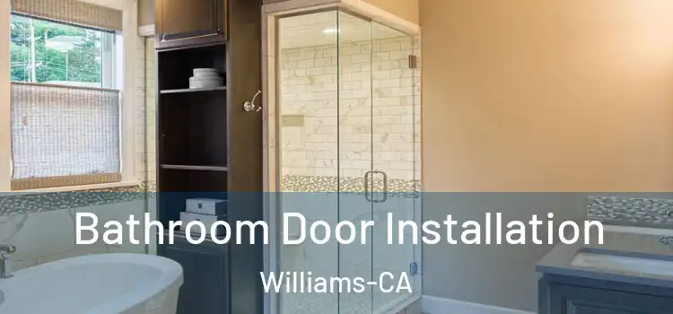  Bathroom Door Installation Williams-CA