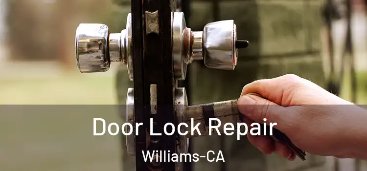 Door Lock Repair Williams-CA