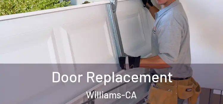  Door Replacement Williams-CA