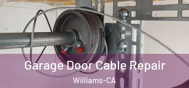  Garage Door Cable Repair Williams-CA