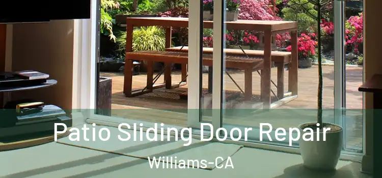 Patio Sliding Door Repair Williams-CA