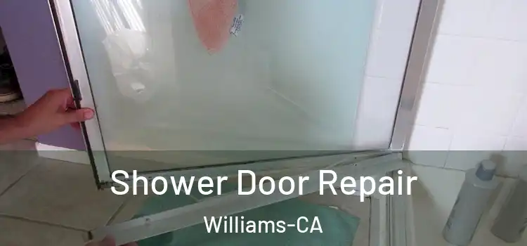Shower Door Repair Williams-CA
